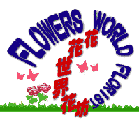 Flowers World Floirst